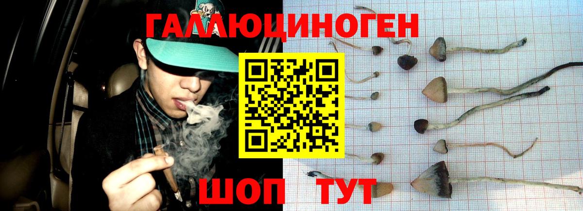 Каспийск  Галлюциногенные грибы прущие грибы  Вход с VPN 