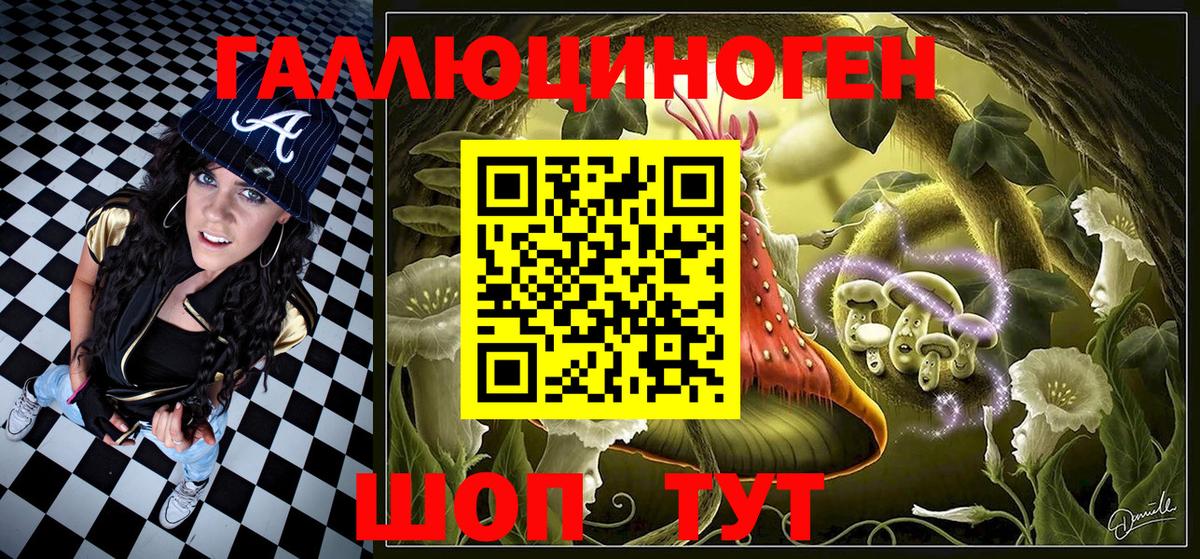 Галлюциногенные грибы Psilocybine cubensis Каспийск